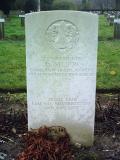 image of grave number 372101